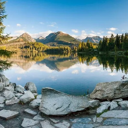 Helen C317 Hrebienok *